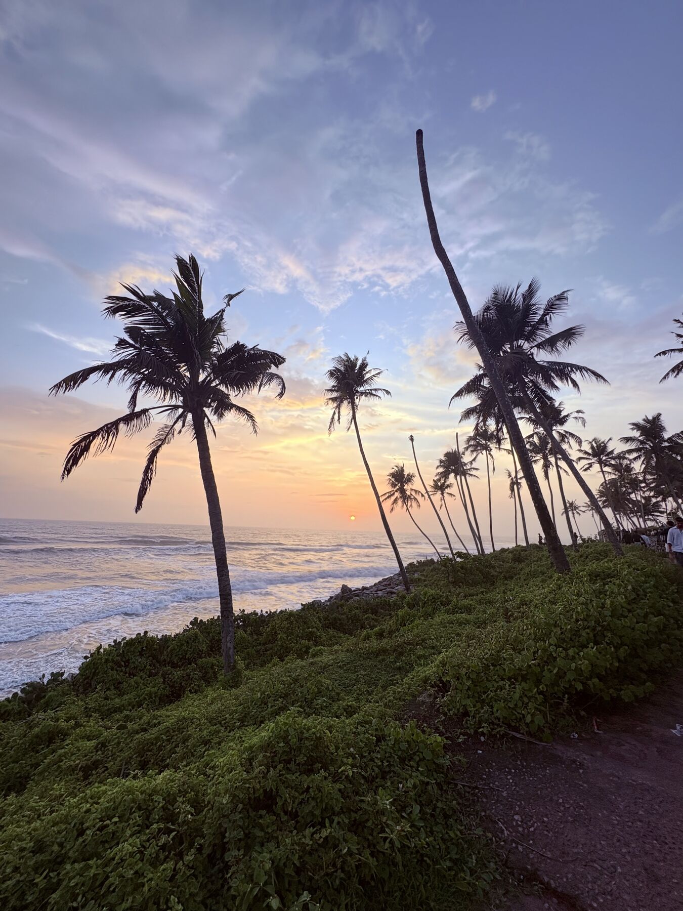 Sunset behind coconut palms on the Varkala cliff with waves breaking below